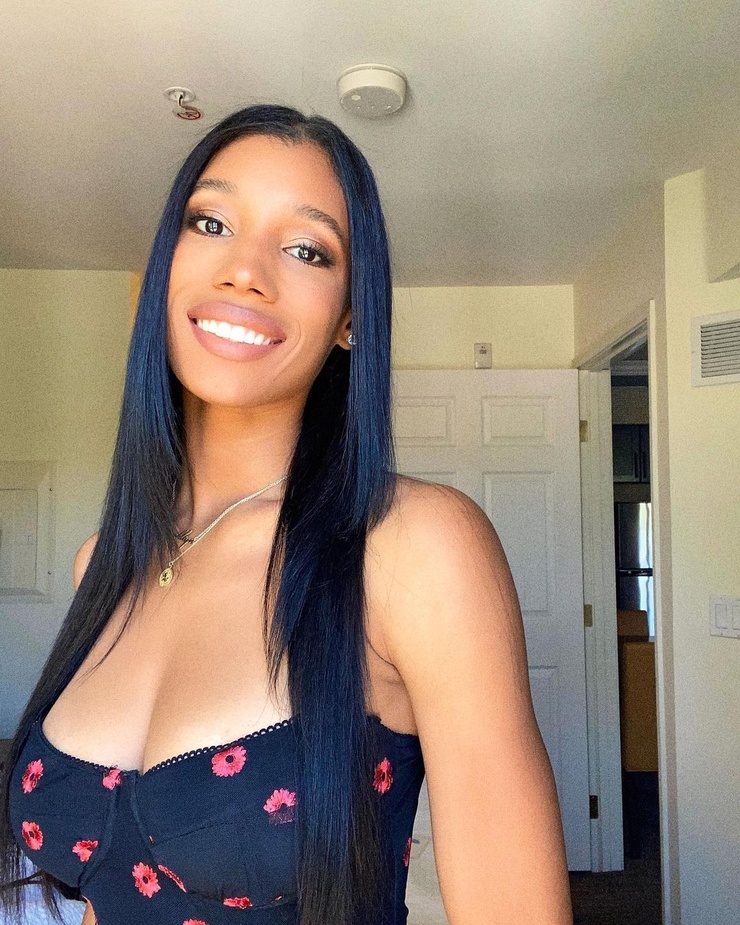 Brookliyn wren Brookliyn wren