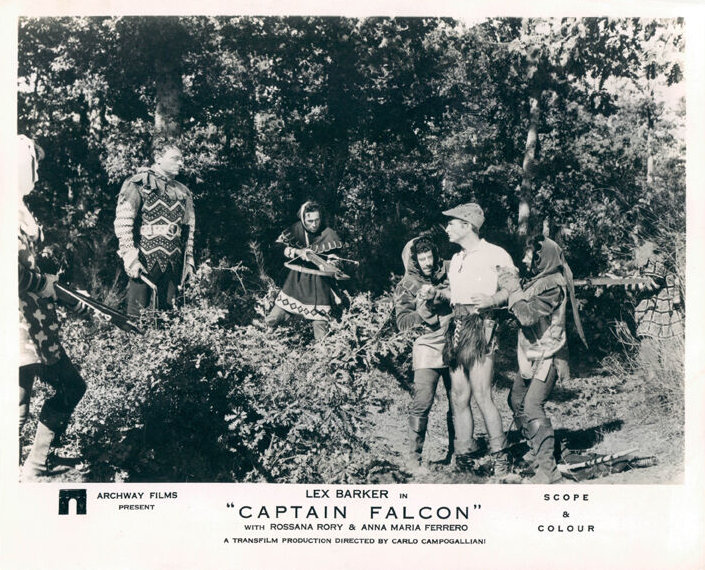 Captain Falcon