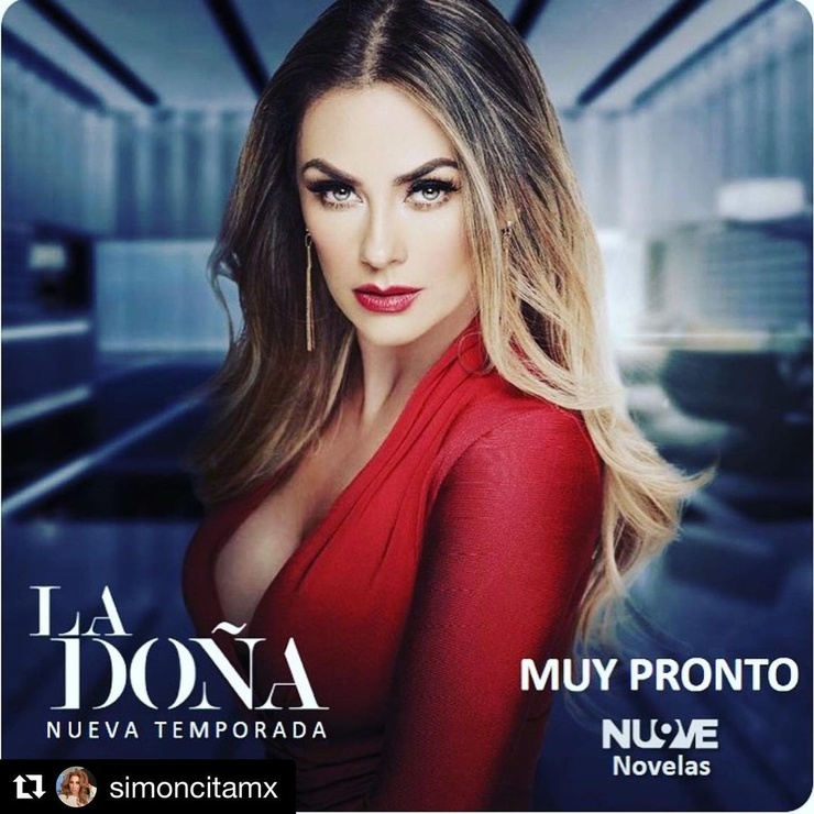 Aracely Arámbula