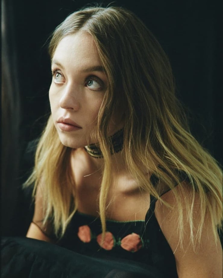 https://iv1.lisimg.com/image/23213357/740full-sydney-sweeney.jpg