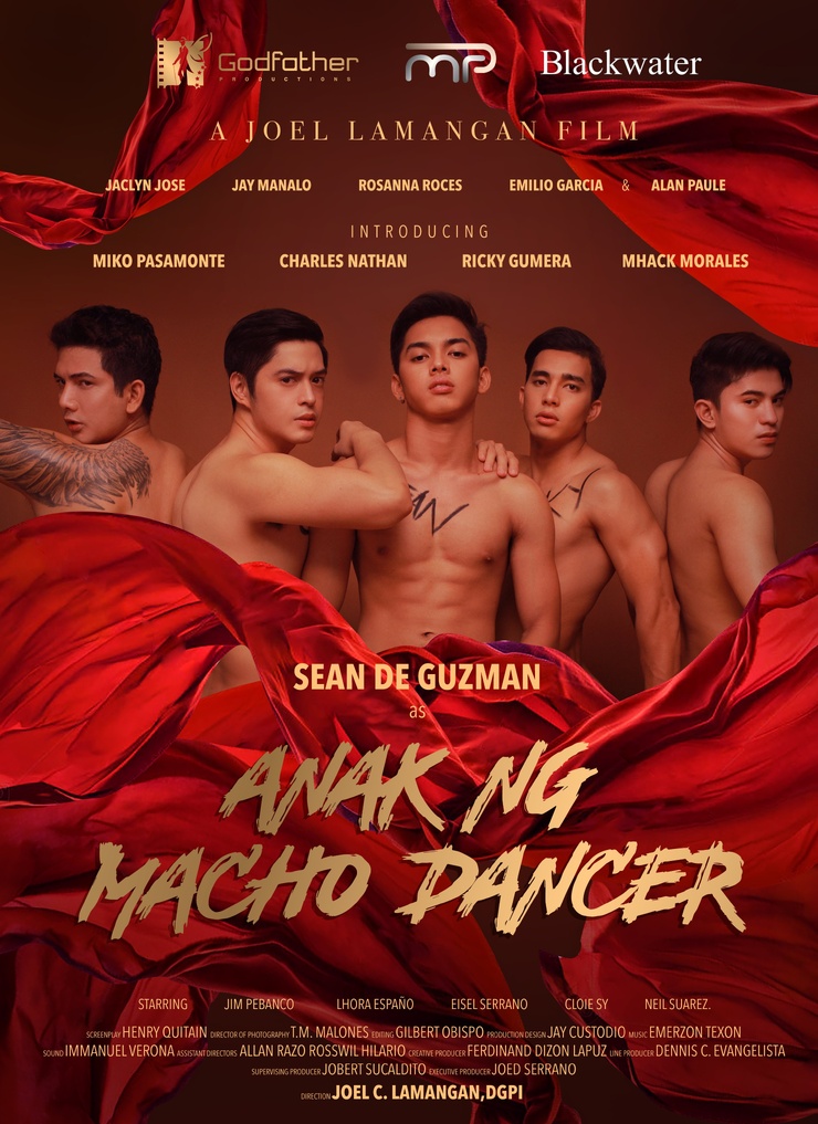 Son of Macho Dancer