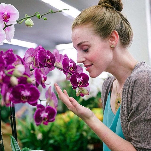 Picture of Virginia Collins