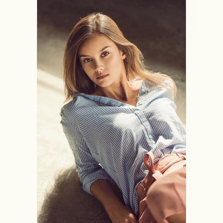 NICOLA CAVANIS