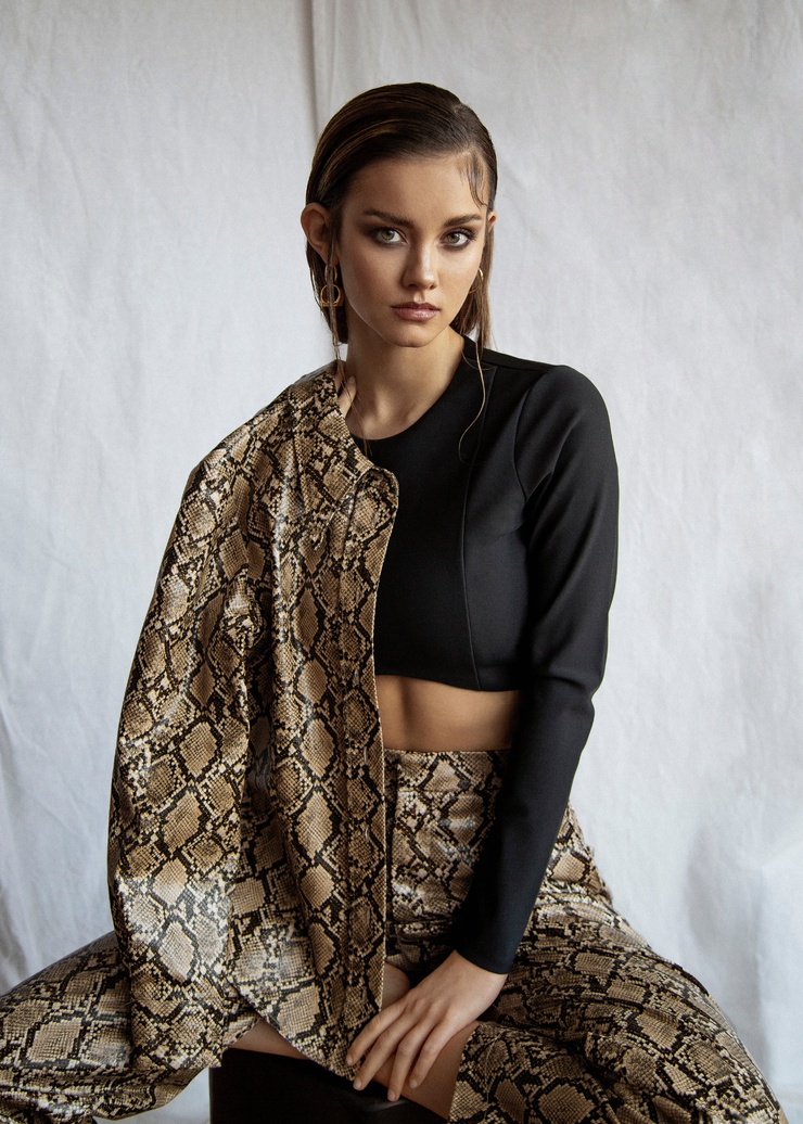 NICOLA CAVANIS