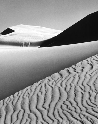 Ansel Adams Ansel Adams