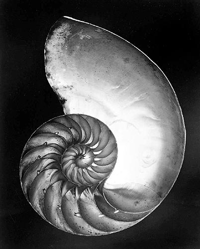 Edward Weston