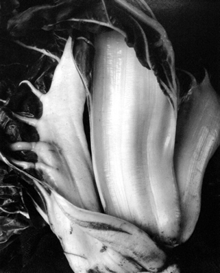 Edward Weston