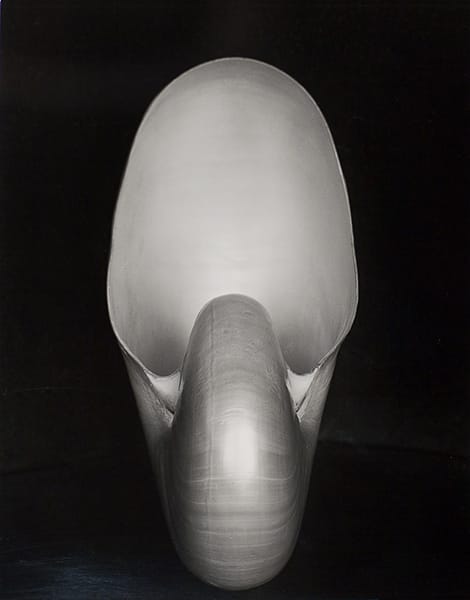 Edward Weston