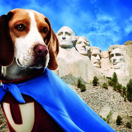 Underdog
