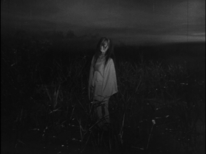 The Ghosts of Kasane Swamp