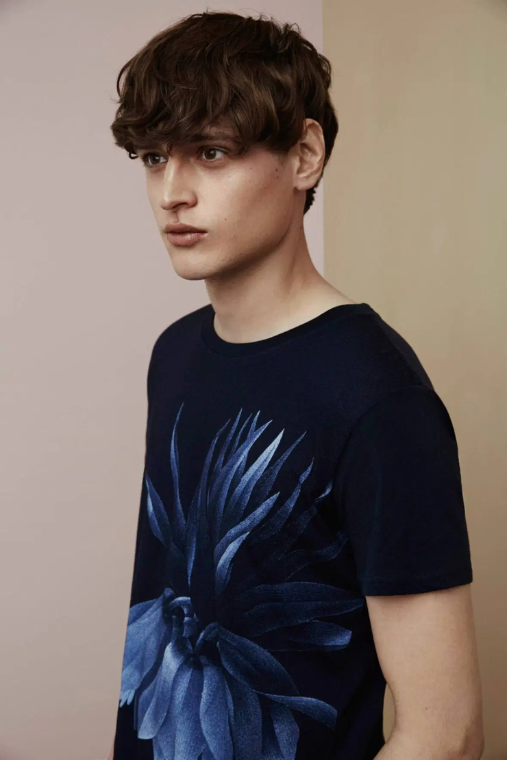 Matthijs Meel
