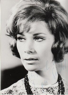 Signe Seidel