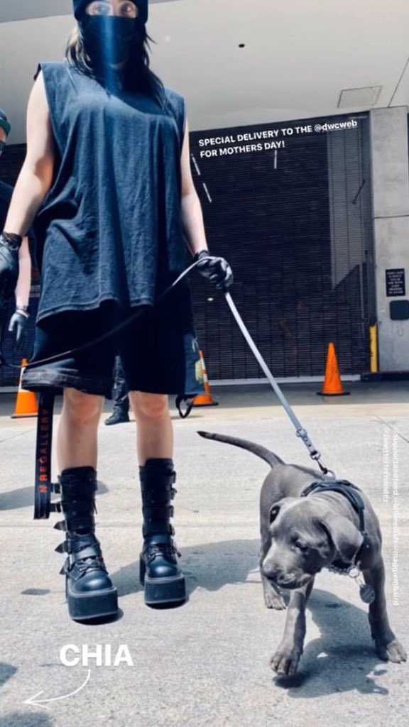 Billie Eilish Billie Eilish