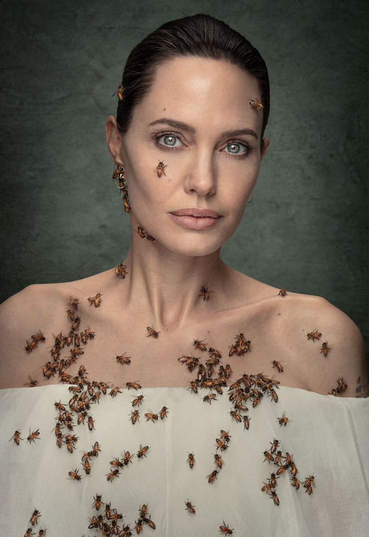 Angelina Jolie Angelina Jolie