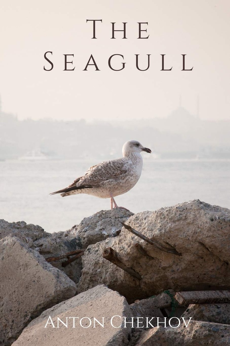 The Seagull 