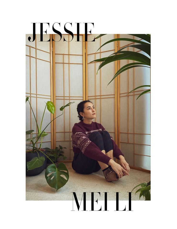 Jessie Mei Li