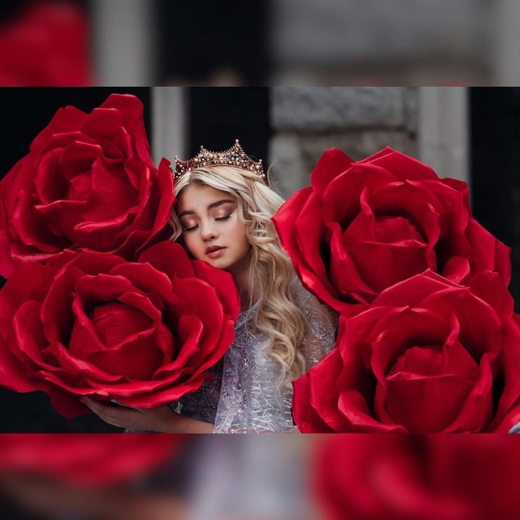 Sicily Rose