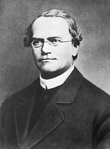 Gregor Mendel