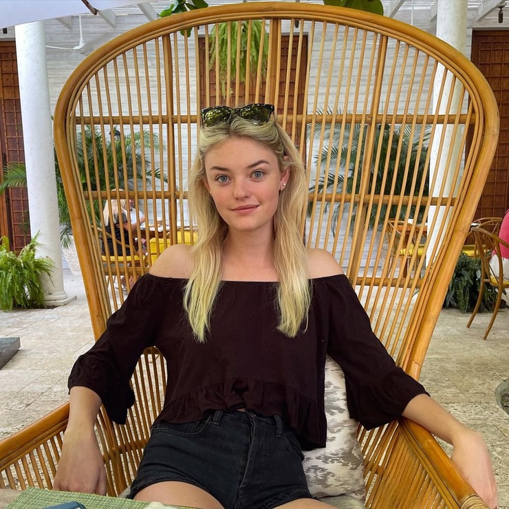 Willow Hand Willow Hand