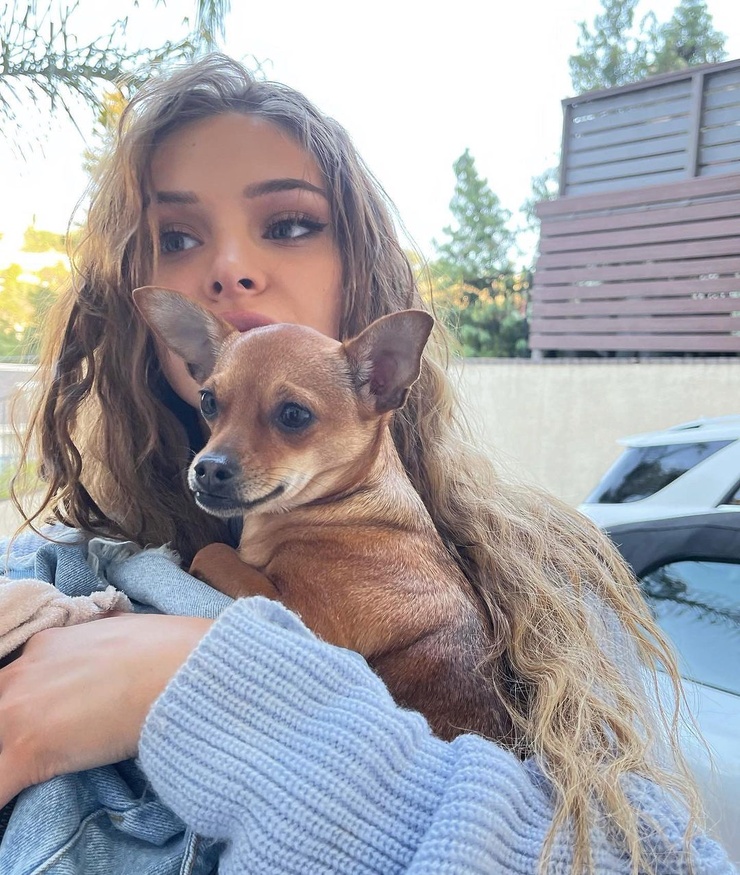Brighton Sharbino