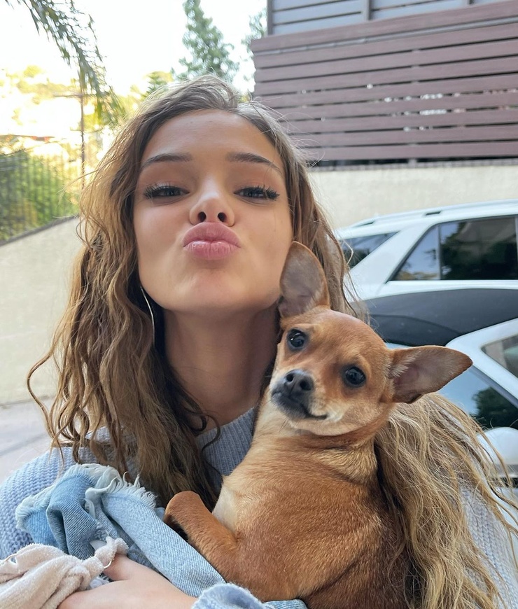 Brighton Sharbino