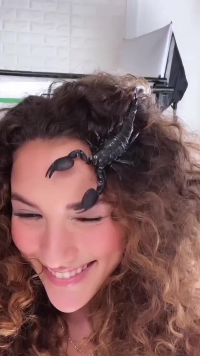 Sofie Dossi