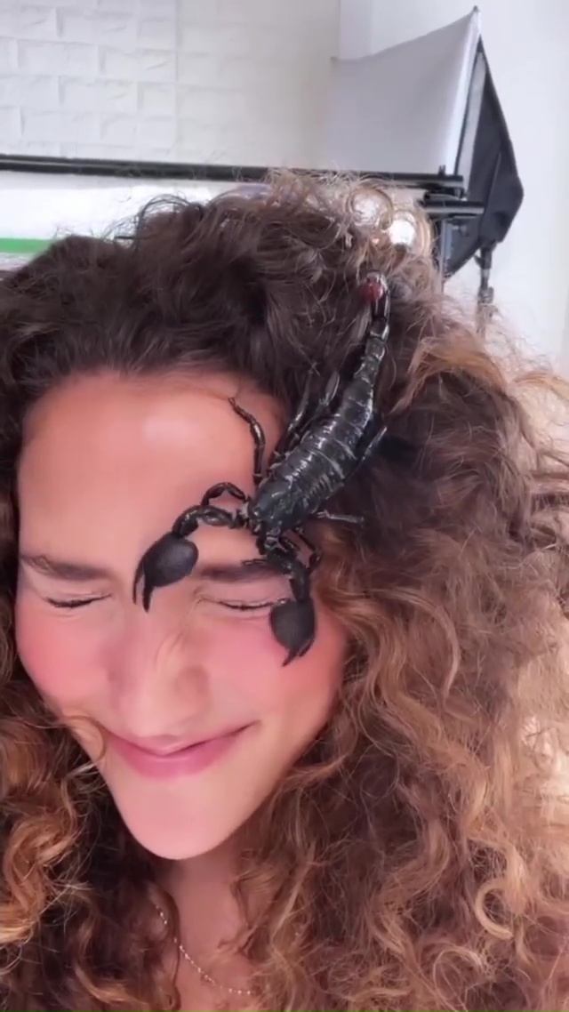 Sofie Dossi