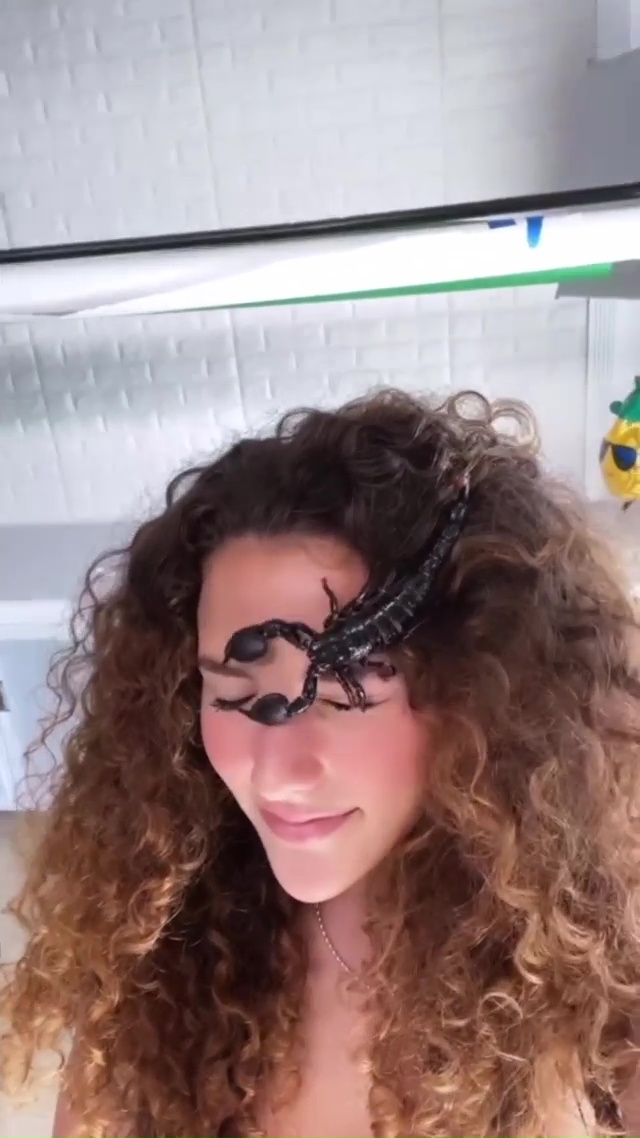 Sofie Dossi
