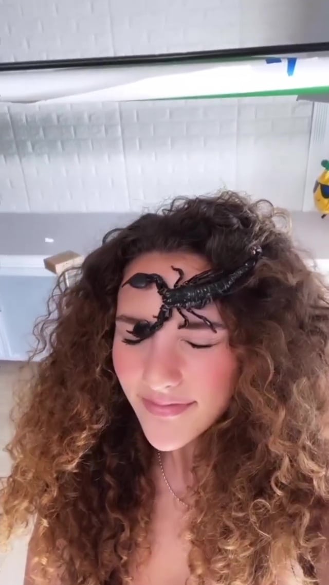 Sofie Dossi