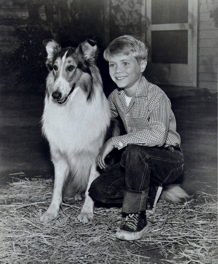 Lassie