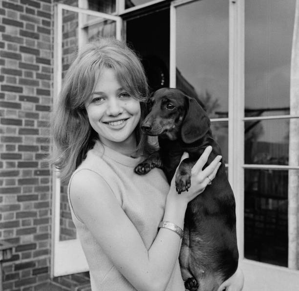 Judy Geeson
