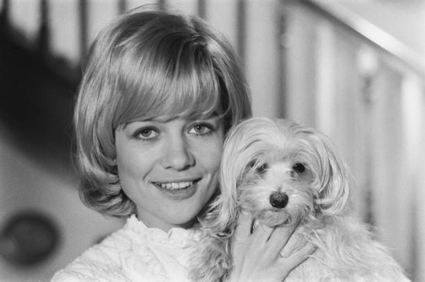 Judy Geeson Judy Geeson