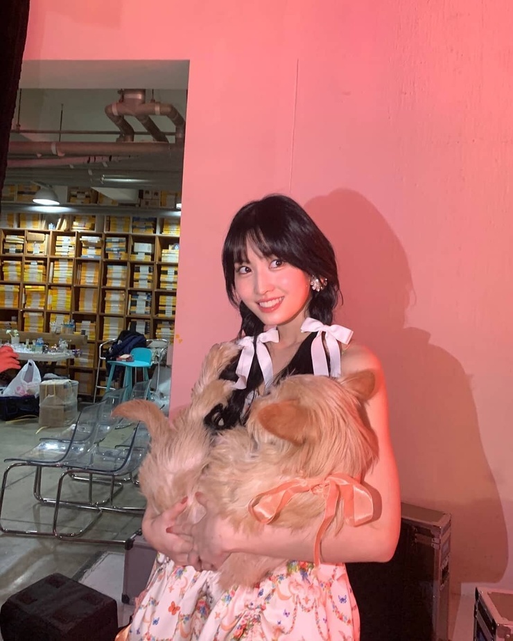 Hirai Momo
