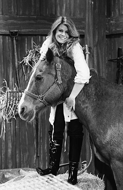 Lisa Whelchel Lisa Whelchel