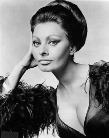 Sophia Loren Sophia Loren