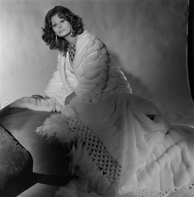 Sophia Loren