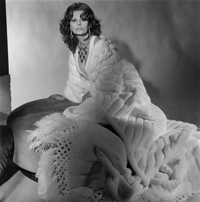 Sophia Loren Sophia Loren