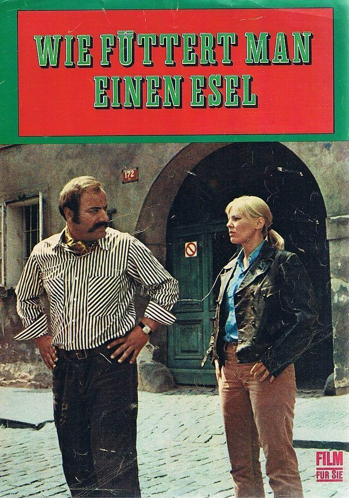Wie füttert man einen Esel Wie füttert man einen Esel