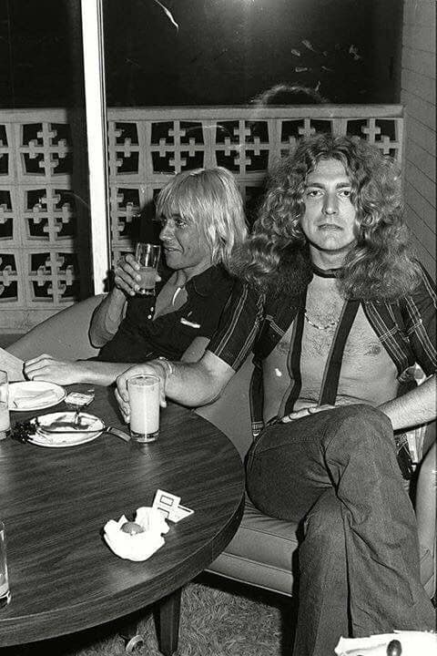 Robert Plant