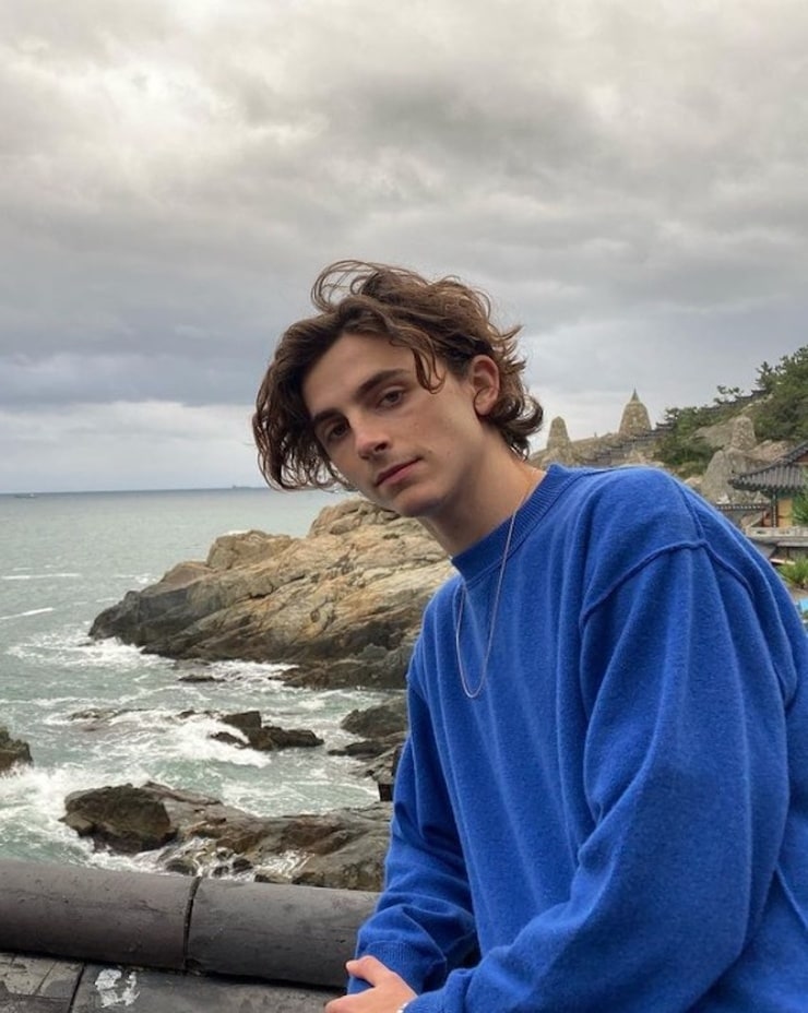 Timothée Chalamet