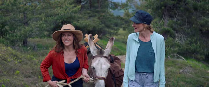 My Donkey, My Lover & I (2020)
