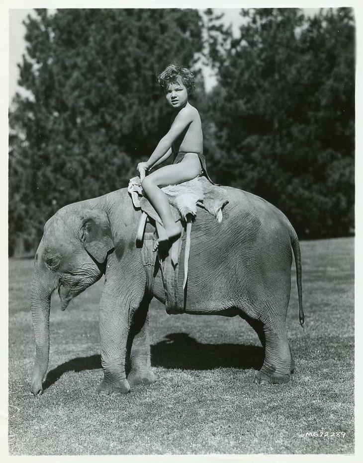 Tarzan Finds a Son!