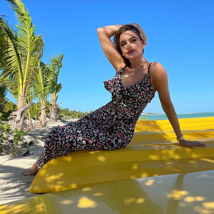 Sofía Vergara