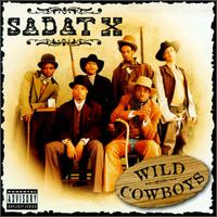 Wild Cowboys