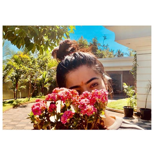 Rashmika Mandanna