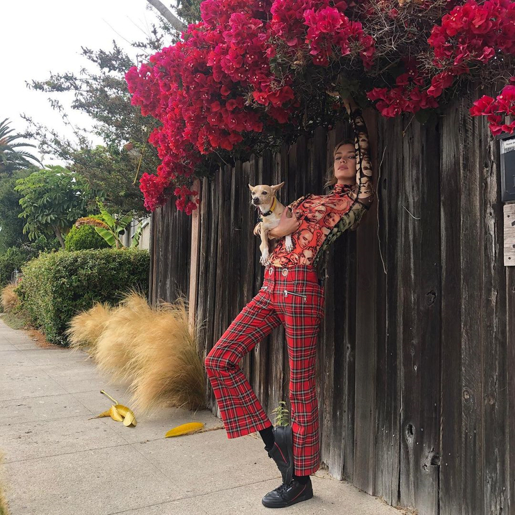 Stella Maxwell