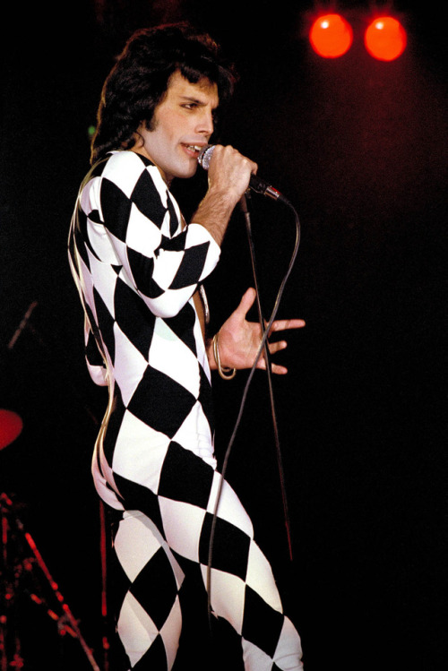 Freddie Mercury