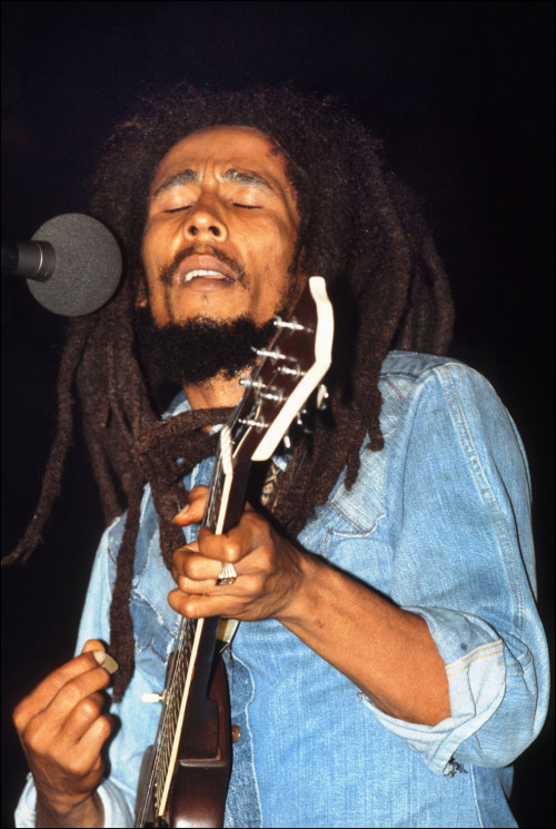 Bob Marley Bob Marley