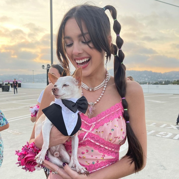 Olivia Rodrigo Olivia Rodrigo