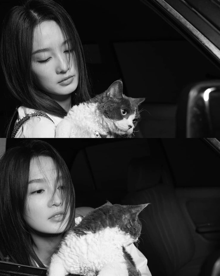 Qin Li